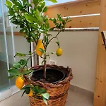 Frühstückspension Vicol8netino Noto