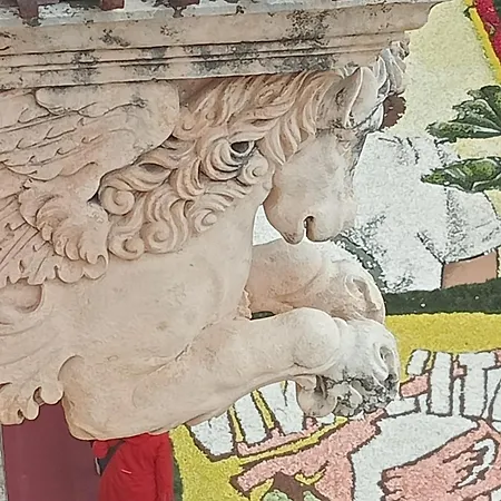 Vicol8netino