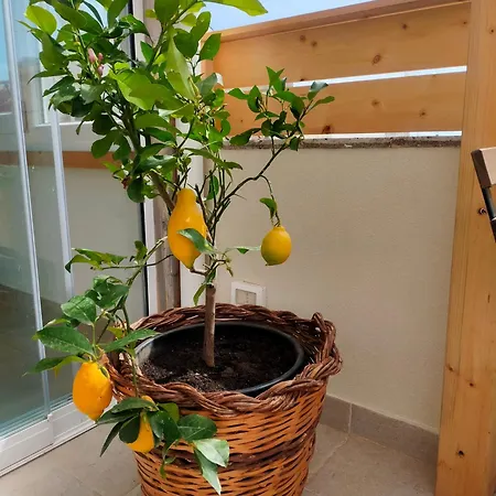 Bed & Breakfast Vicol8netino Noto